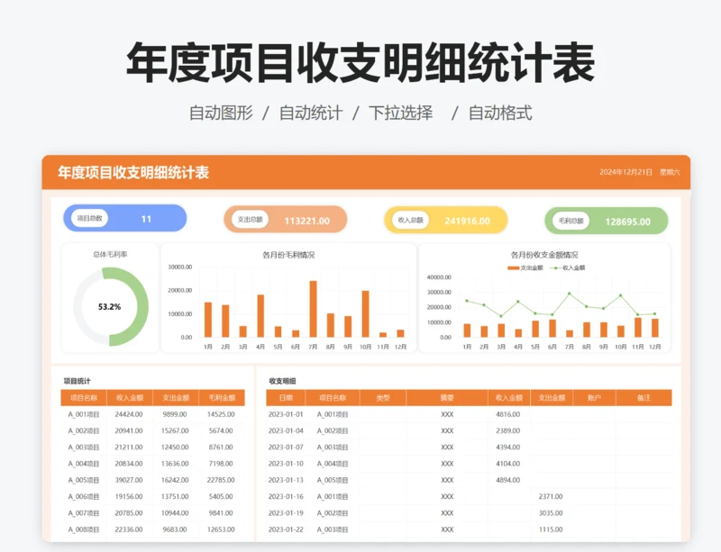 年度项目收支明细统计表