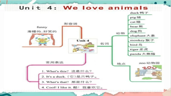 Unit 4 We love animals 复习课件(共44张PPT)