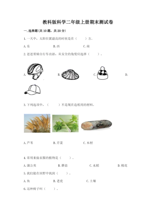 教科版科学二年级上册期末测试卷精编答案.docx