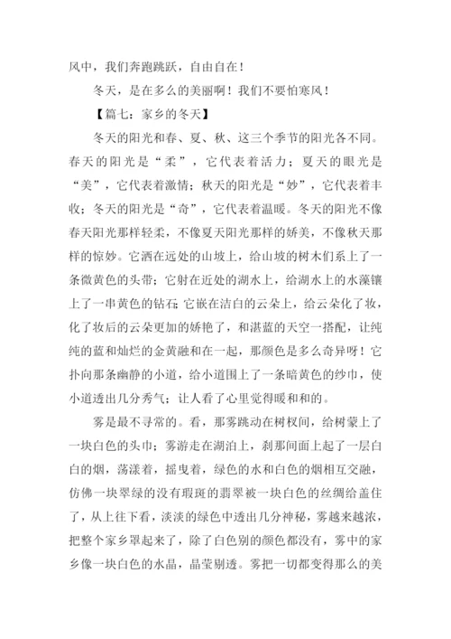 关于冬天的作文300字.docx