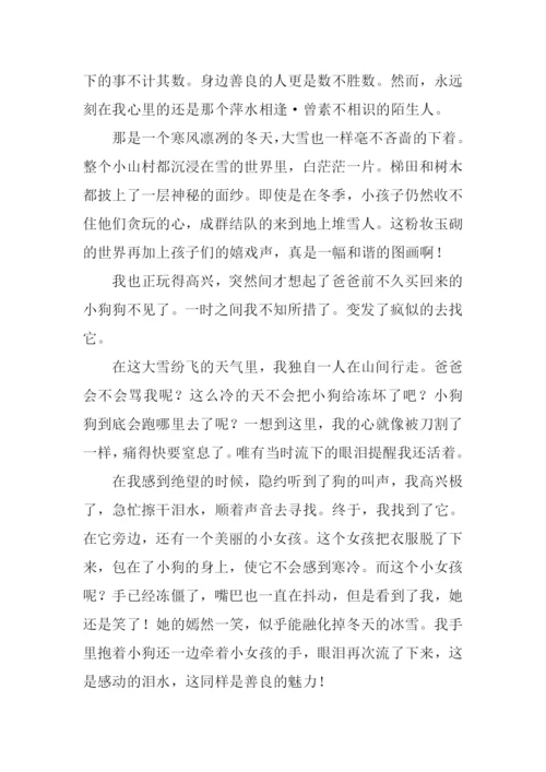 善良的魅力作文800字.docx