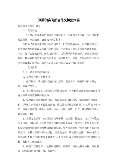 预算的实习报告范文锦集六篇