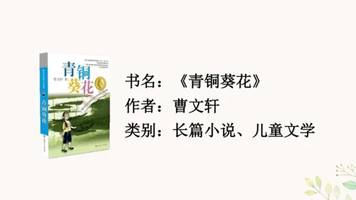 第21课《芦花鞋》（教学课件 ）