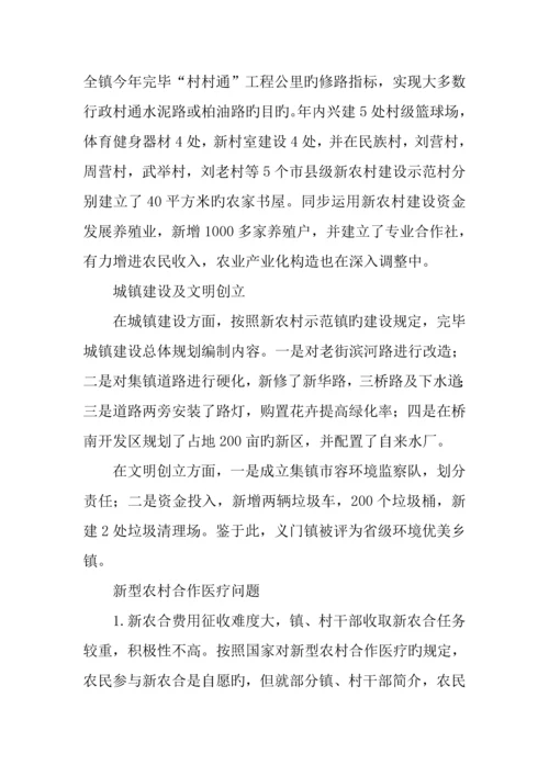 乡镇调查报告.docx