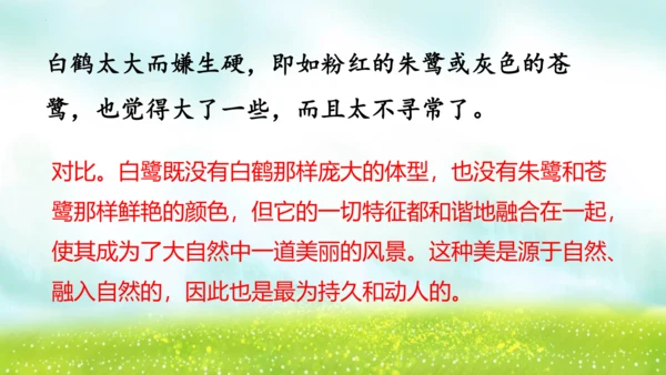 1《白鹭》（课件）