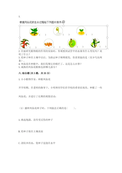 教科版四年级下册科学第一单元《植物的生长变化》测试卷精品（巩固）.docx