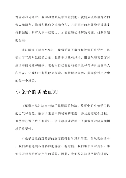 秘密小兔的读后感想