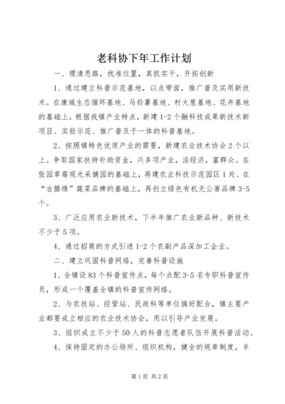 老科协下年工作计划.docx