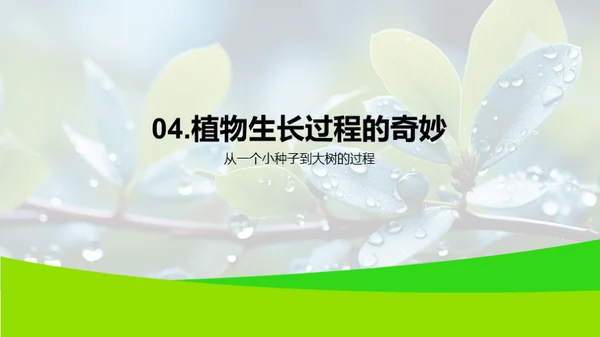 揭秘植物奥秘