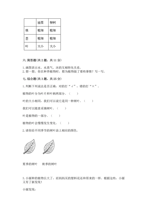 教科版科学一年级上册第一单元《植物》测试卷及参考答案【综合卷】.docx