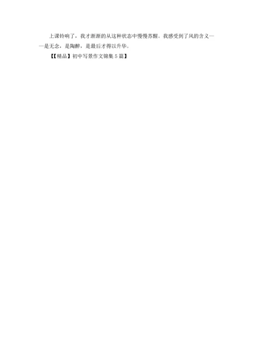 初中写景作文锦集5篇.docx