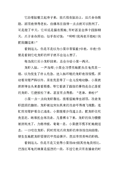 介绍一种事物五年级作文6篇