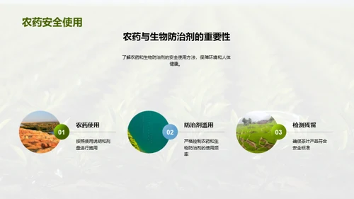 茶园病虫害科学防治