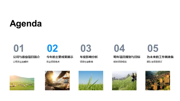 农业项目年终盘点