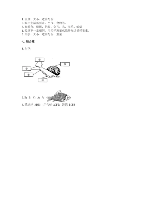 教科版一年级下册科学期末测试卷带答案（培优b卷）.docx