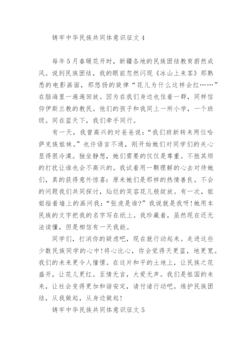 铸牢中华民族共同体意识征文最新5篇.docx