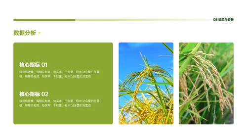 稻谷麦穗增产农作物与重金属污染通用PPT模板