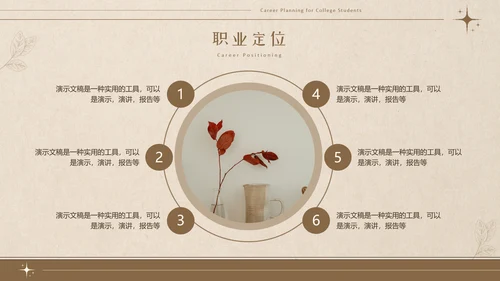 美拉德色大学生职业生涯规划PPT模板
