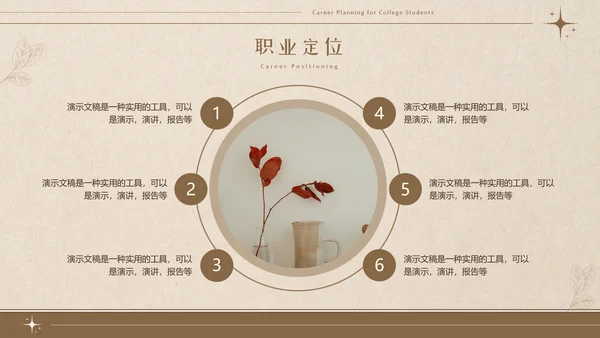 美拉德色大学生职业生涯规划PPT模板