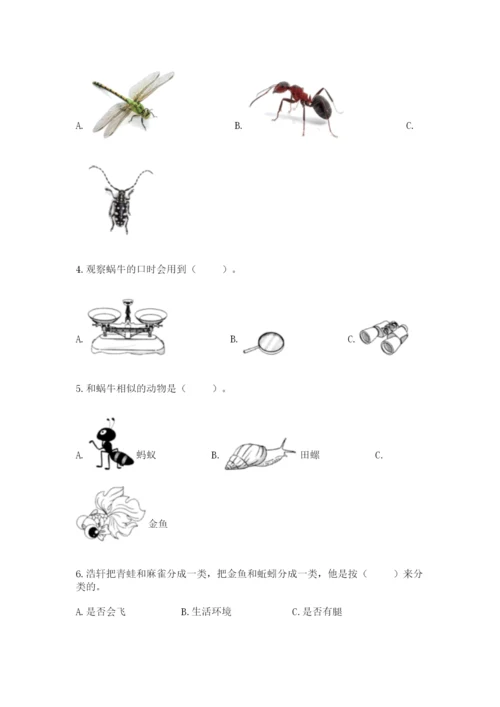 教科版一年级下册科学期末测试卷【考点提分】.docx