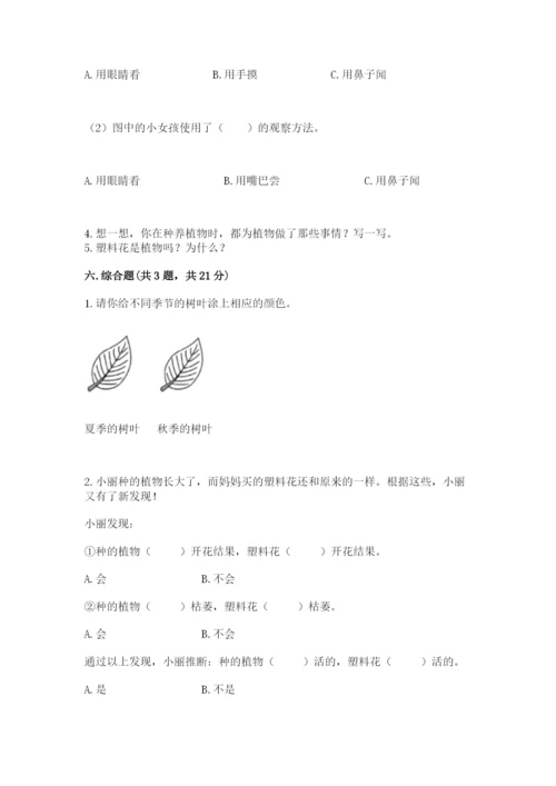 教科版一年级上册科学期末测试卷（黄金题型）.docx