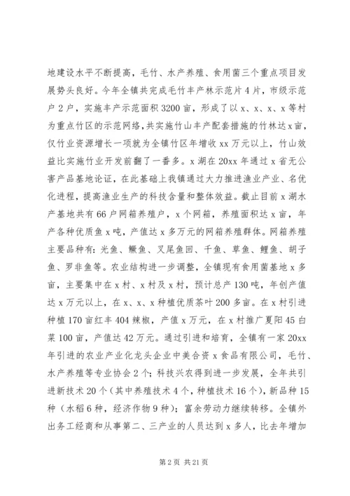 乡镇年度工作总结及工作计划.docx