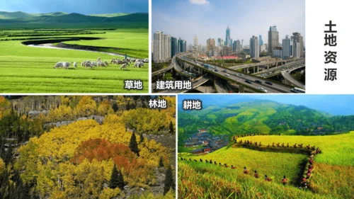 3.1 自然资源的基本特征（课件38张）-人教版八年级地理上册