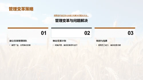 农业供应链的创新与优化
