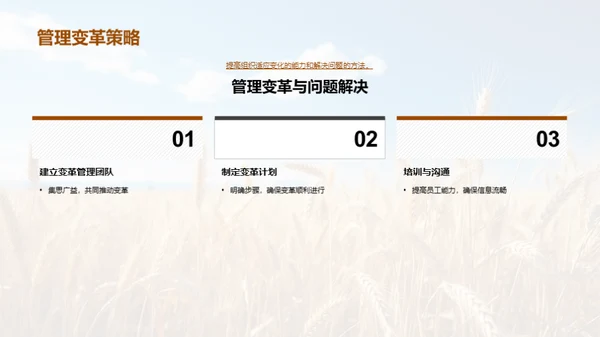 农业供应链的创新与优化