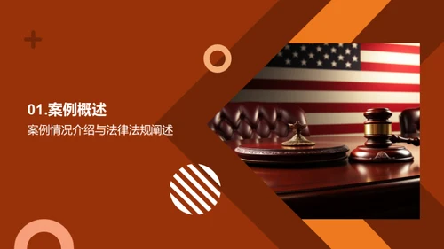 法律实践深度解析