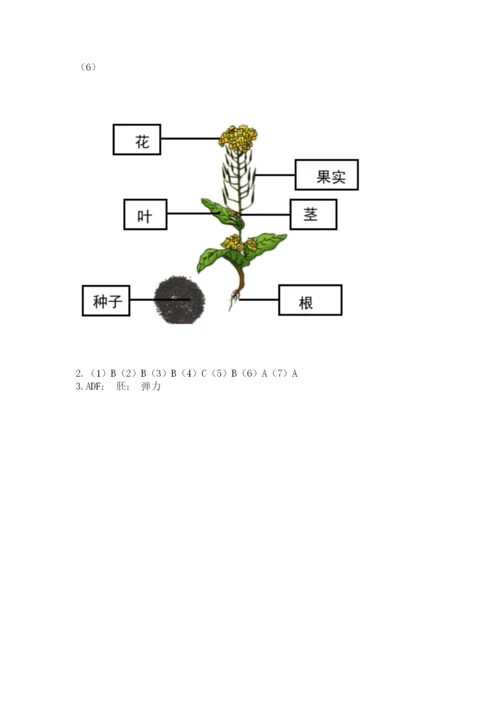 教科版科学四年级下册第一单元《植物的生长变化》测试卷（b卷）.docx