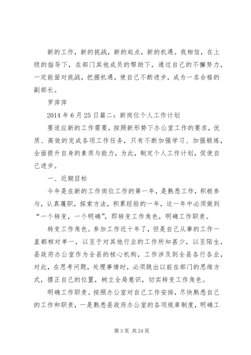 新岗位工作计划 (2).docx