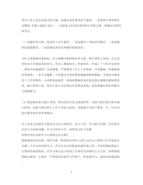 精编农村信用社挂职学习心得体会范文.docx