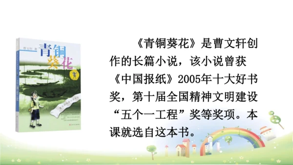 21《芦花鞋》课件