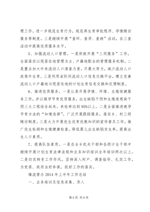 乡镇计生及流管工作总结.docx