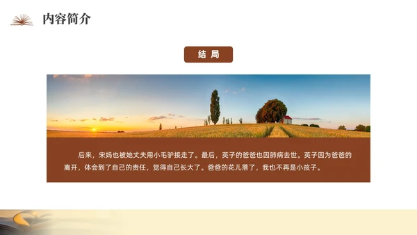 咖啡色实拍城南旧事读书分享PPT课件