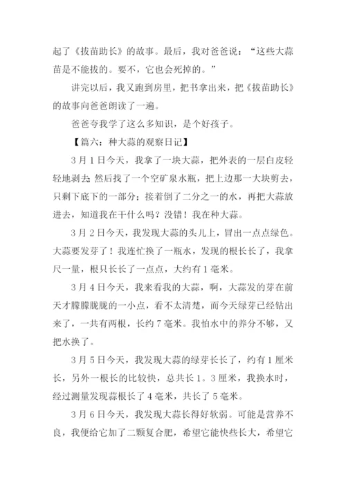 种大蒜作文四年级.docx