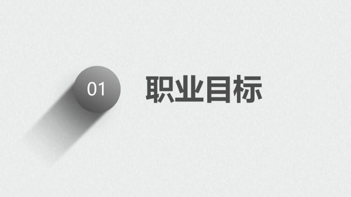 黑白简约计算机科学与技术专业大学生职业生涯规划展示