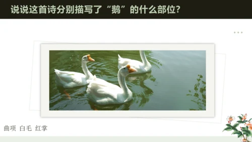 统编版语文一年级上册 第一单元 识字  语文园地一   课件