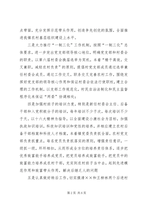 乡镇落实组织工作汇报_1.docx