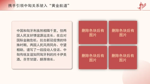 携手引领中匈关系驶入黄金航道政治学习日党课PPT