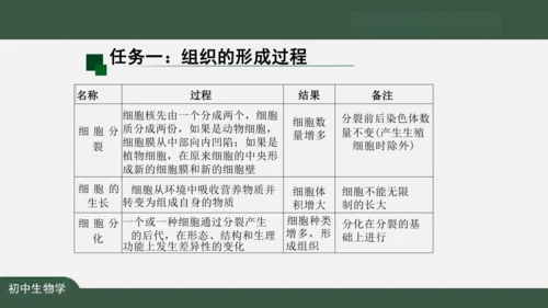 2.2.2 动物体的结构层次 课件（共24张PPT）
