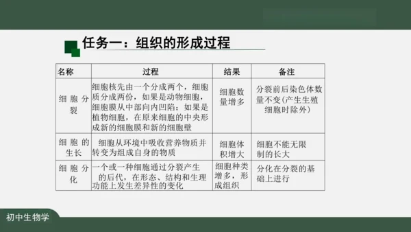 2.2.2 动物体的结构层次 课件（共24张PPT）
