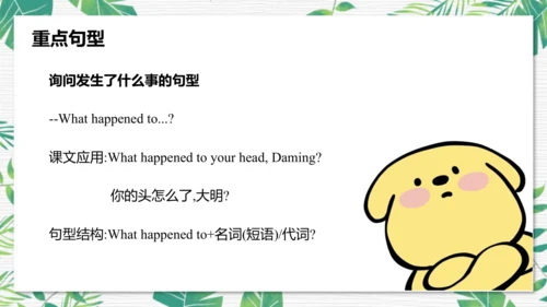 Module 10 Unit 1  Did you fall off your bike  课件(共