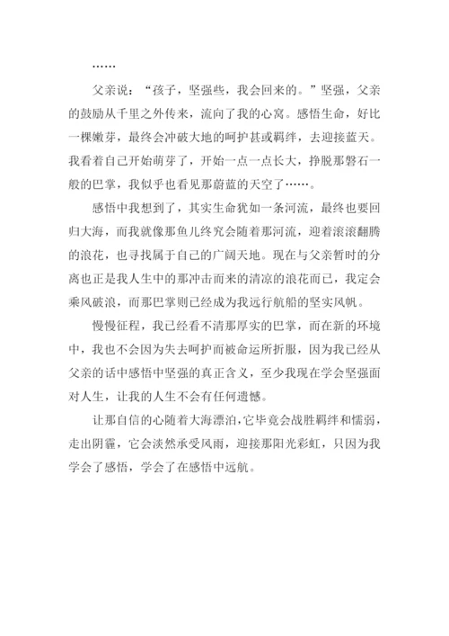 生命在感悟中远航作文900字.docx