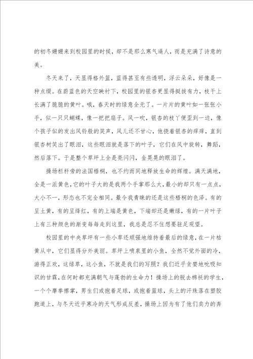 10篇描写冬天校园的作文