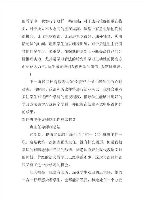 新任班主任导师制工作总结共4篇班主任指导老师工作总结