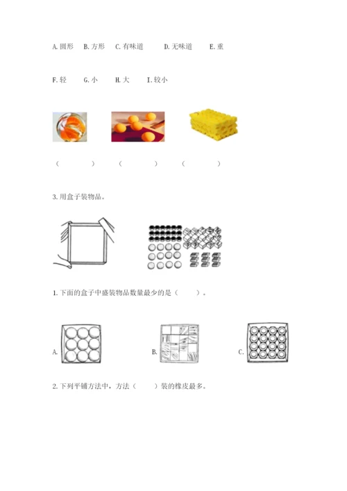 教科版一年级下册科学期末测试卷（全优）.docx