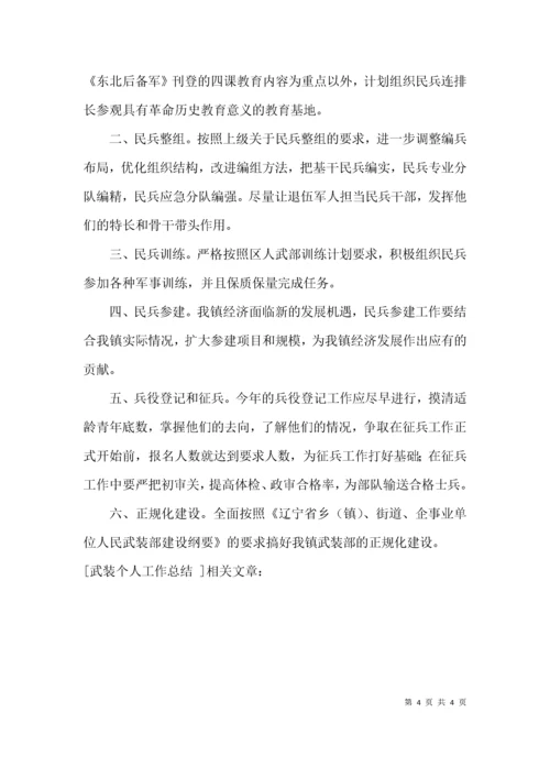 武装个人工作总结.docx