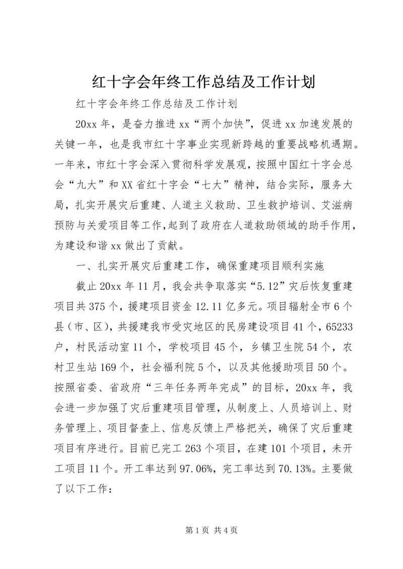 红十字会年终工作总结及工作计划精编.docx